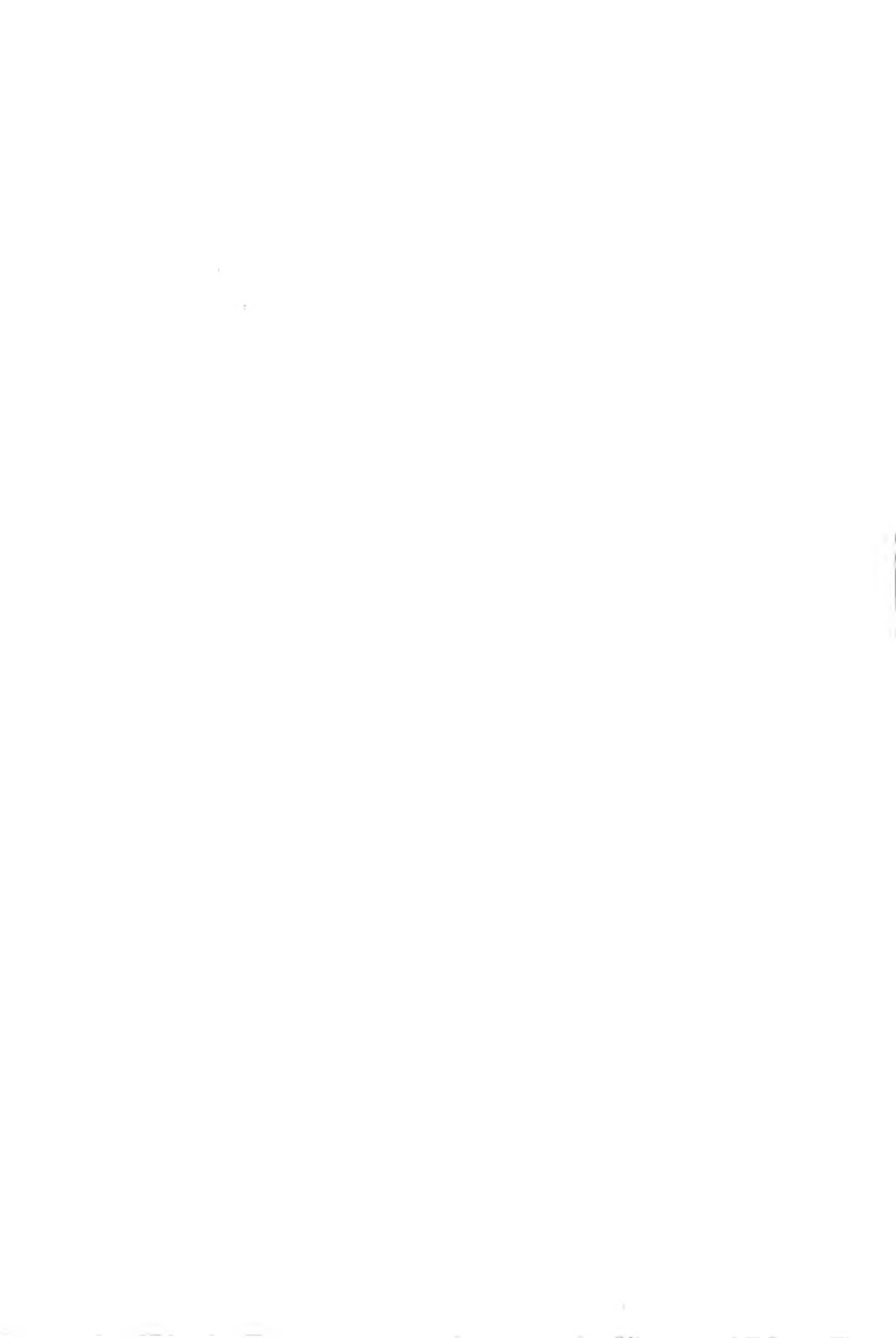 CJJT 168-2011 镇（乡）村绿地分类标准.pdf_第3页