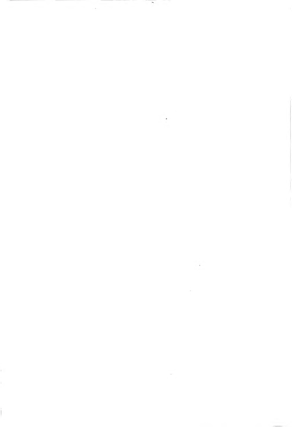 CJJT 103-2013 城市地理空间框架数据标准.pdf_第2页