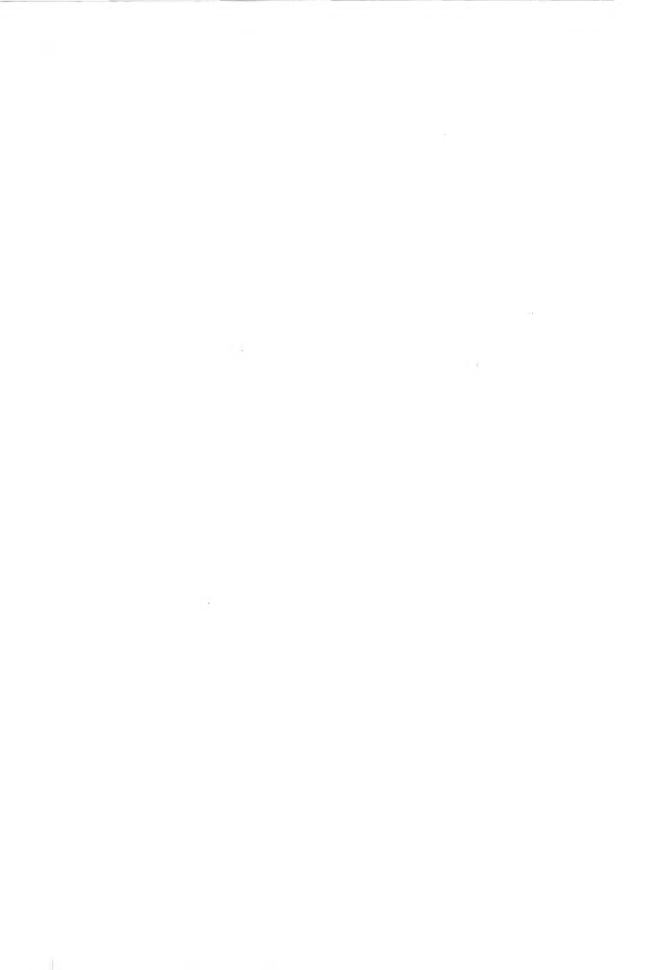 CJJT 103-2013 城市地理空间框架数据标准.pdf_第3页