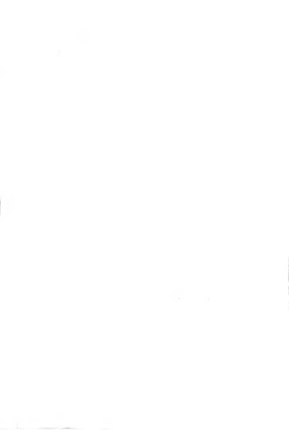 CJJ 194-2013 城市道路路基设计规范.pdf_第3页