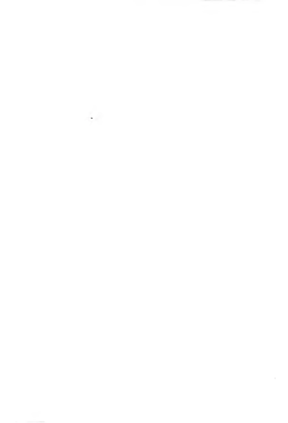 CJJ 89-2012 城市道路照明工程施工及验收规程.pdf_第2页