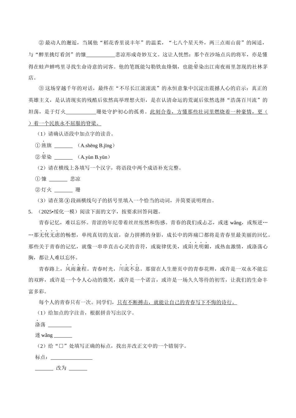 2026年中考语文常考考点专题之基础综合.docx_第3页