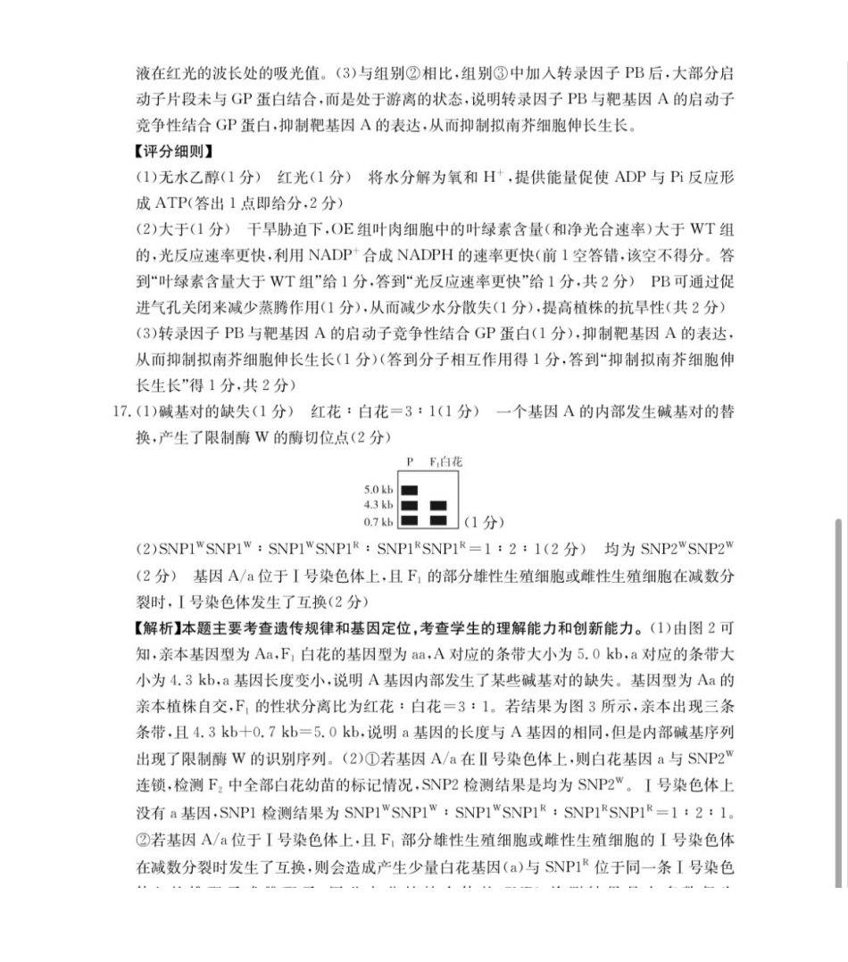 2026年安徽示范高中皖北协作区第28届联考生物答案.pdf_第3页