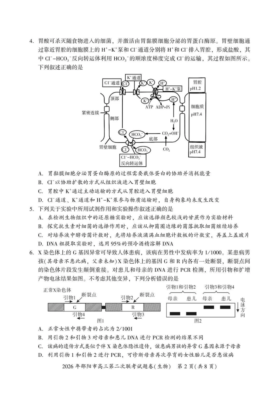 2026年邵阳市高三第二次联考生物+答案.pdf_第2页