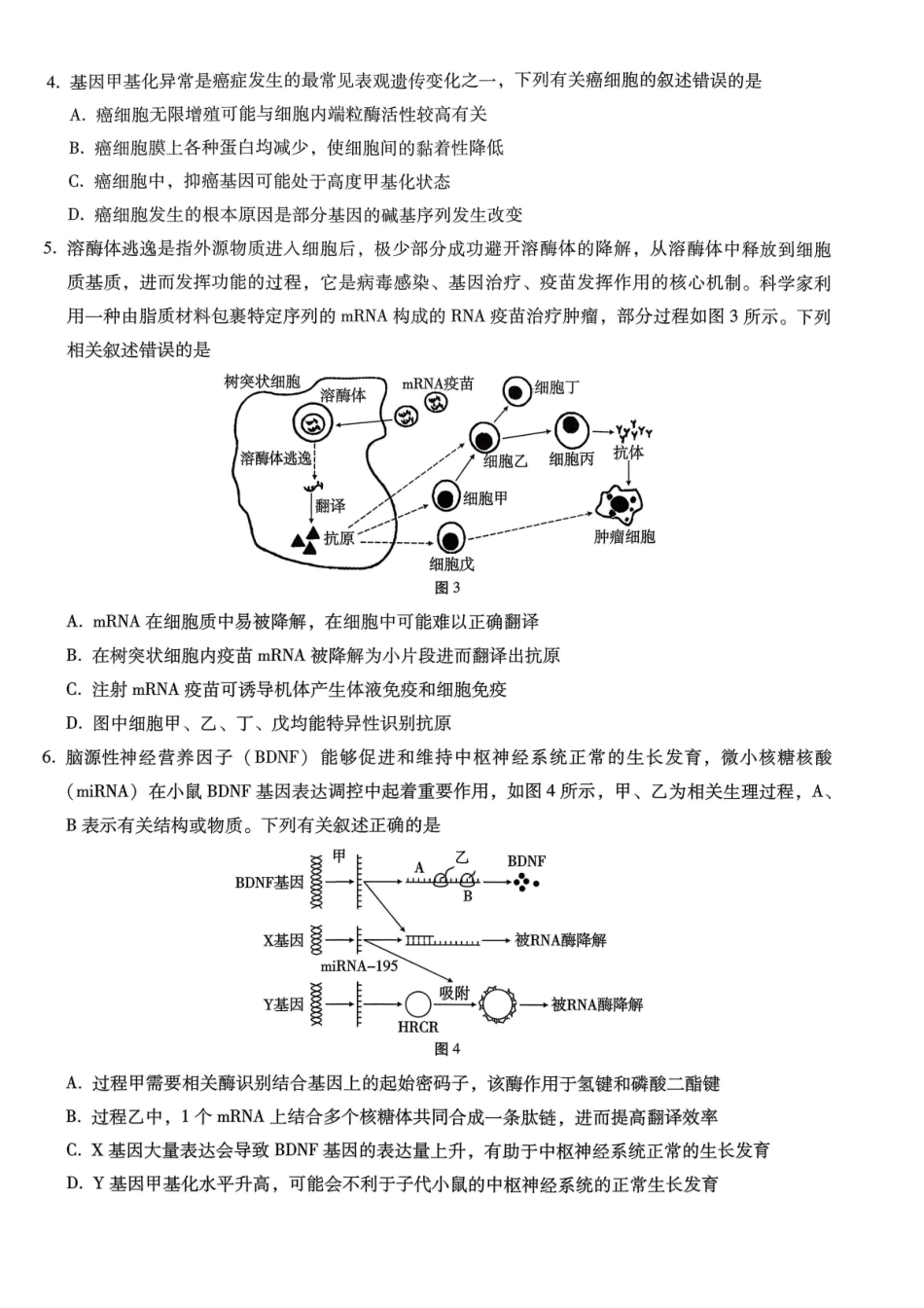 巴蜀中学2026届高考适应性月考卷（七）生物.pdf_第2页