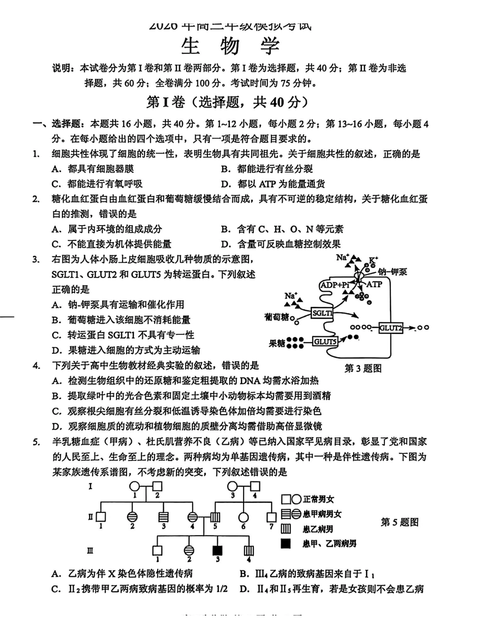 东莞市2026年高三年级模拟考试生物.pdf_第1页