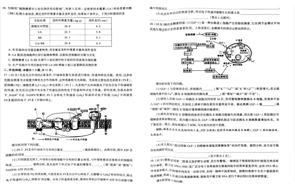 河南五市2026年高三年级一模考试生物.pdf_第3页