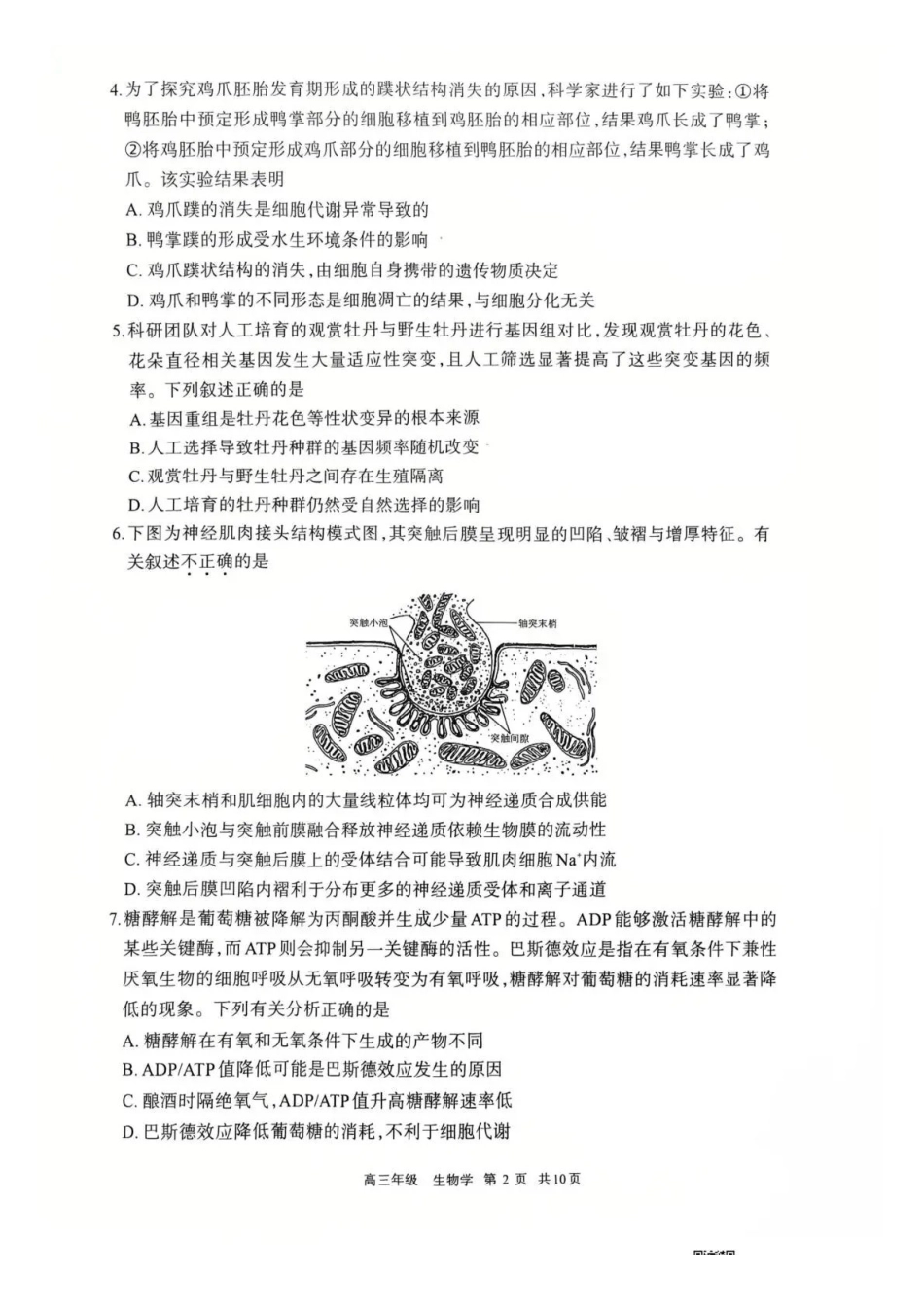 呼和浩特市2026年高三年级第一次模拟考试生物.pdf_第2页
