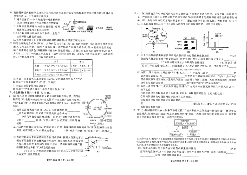 辽宁点石联考2026届高三年级3月学情调研生物.pdf_第3页