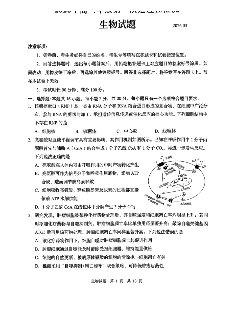 青岛市2026年高三年级第一次适应性检测生物.pdf_第1页