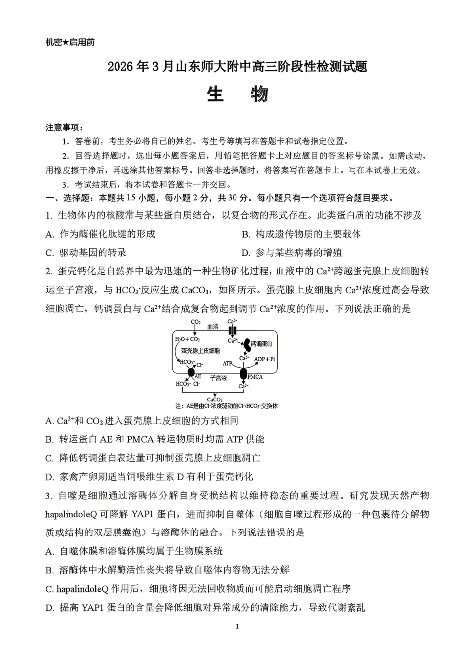 山东师大附中2026年3月高三阶段性检测生物+答案.pdf_第1页
