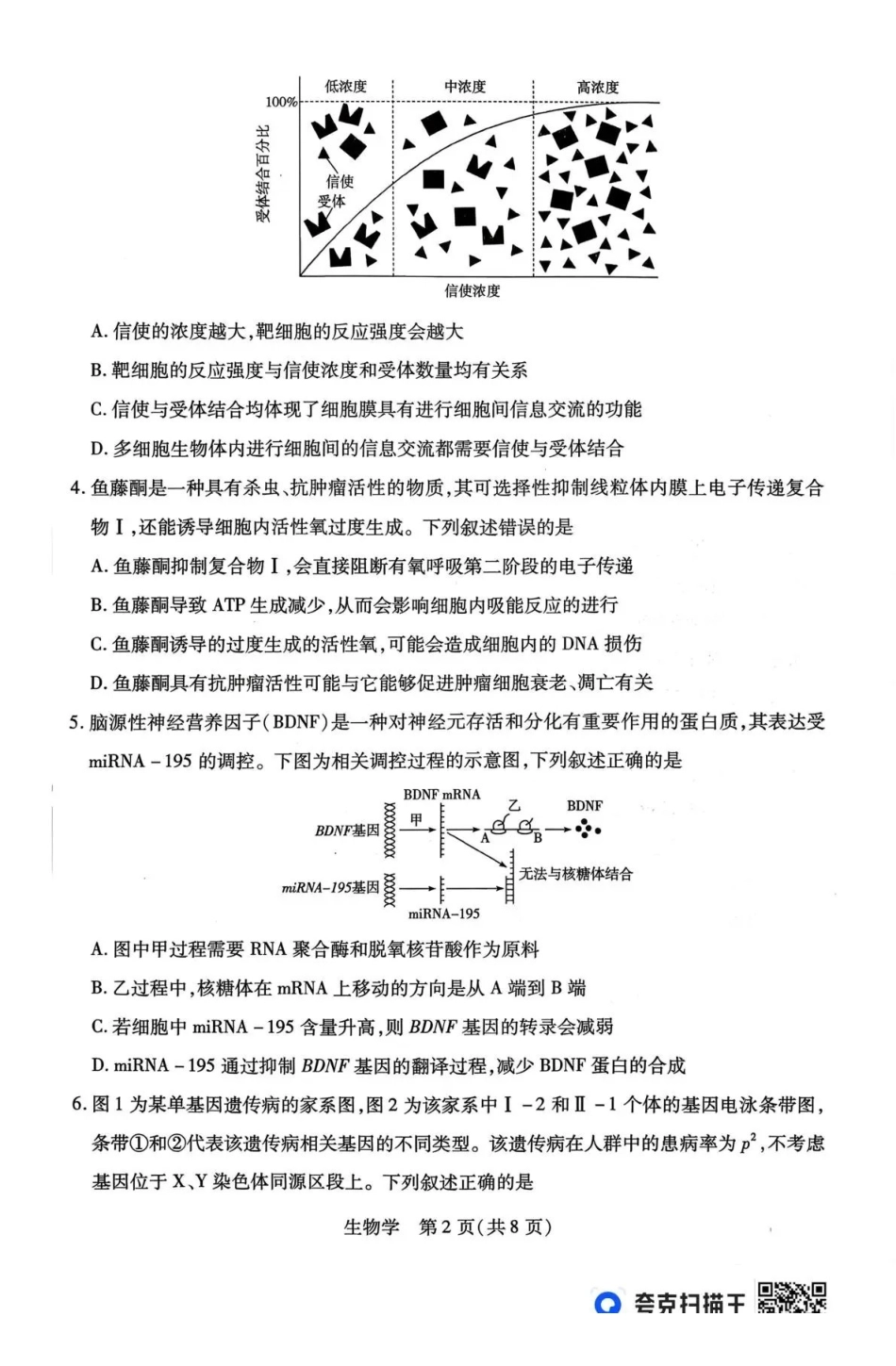 山西、陕西多校2026届高三下学期3月联考生物.pdf_第2页