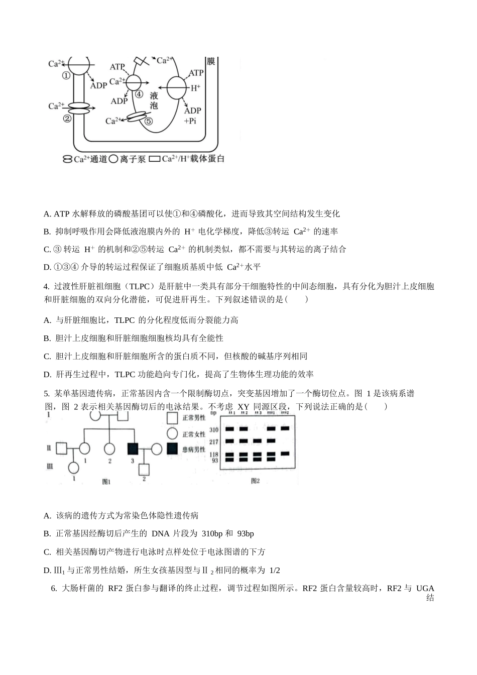 生物(原卷版)山东部分学校（九五协作体联考）2026届高三年级3月学习质量综合评估（3.19-3.20）.docx_第2页