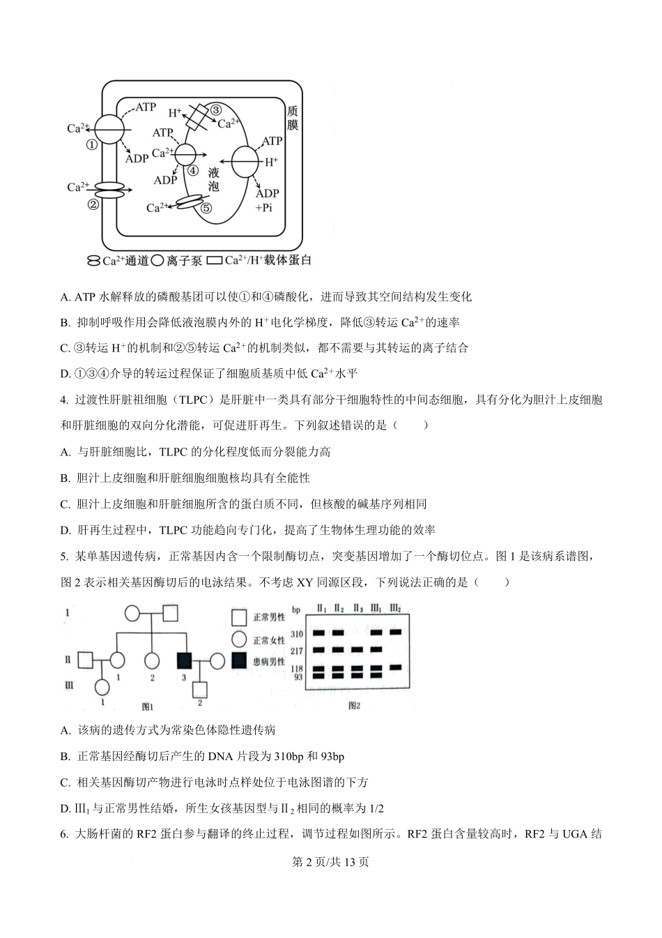 生物(原卷版)山东部分学校（九五协作体联考）2026届高三年级3月学习质量综合评估（3.19-3.20）.pdf_第2页