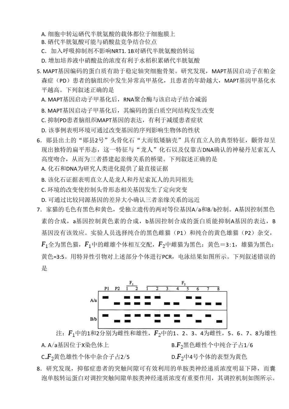 生物【百师联盟卷】百师联盟2026届高三年级二轮复习联考（一）(百师一模)(3.25-3.26).pdf_第2页