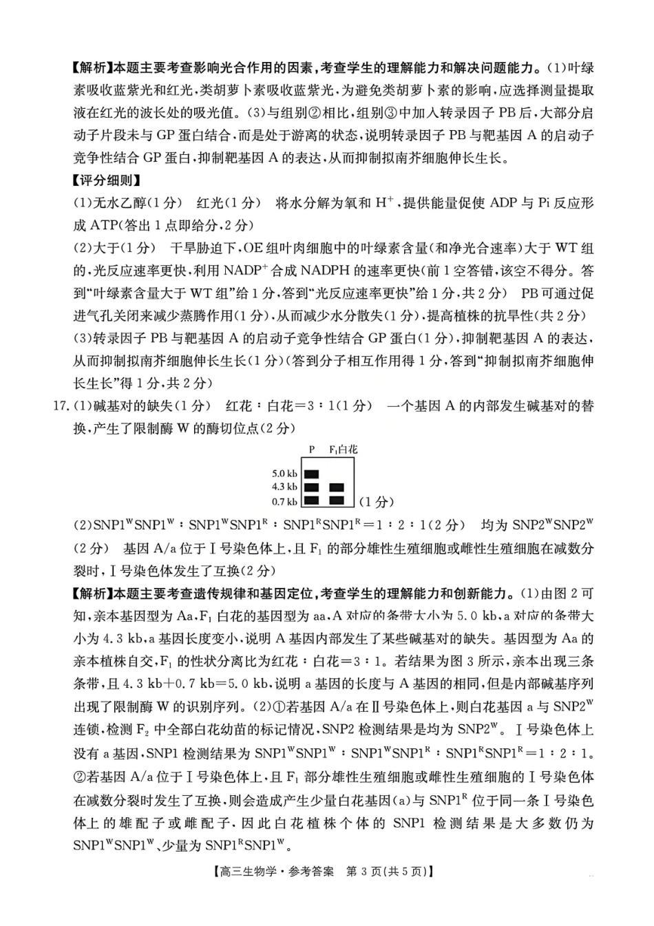 生物安徽2026年安徽示范高中皖北协作区第28届联考(3.26-3.27)(1).pdf_第3页