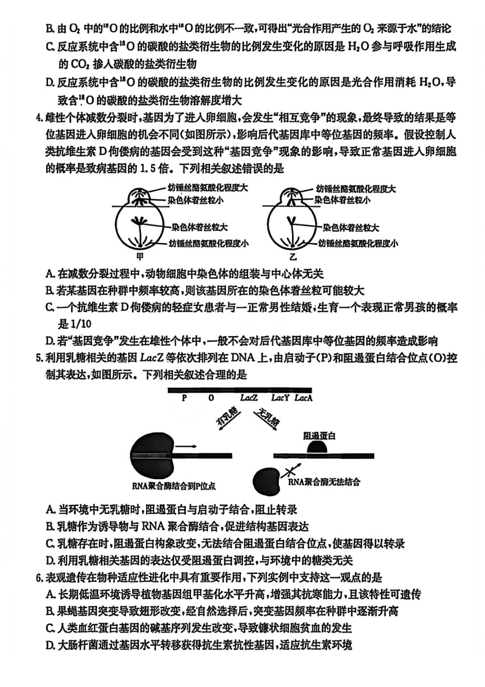 生物安徽2026年安徽示范高中皖北协作区第28届联考(3.26-3.27).pdf_第2页