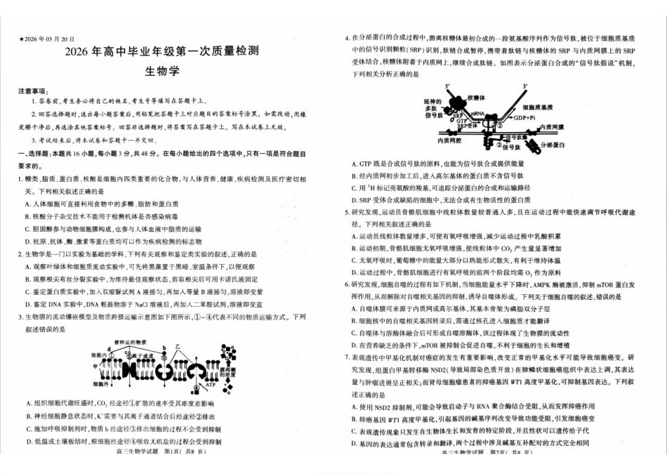 生物河南驻马店、信阳、南阳、三门峡、漯河五市2026年高三3月第一次质量检测联考(驻马店南阳一模信阳三模漯河三门峡二模)(3.19-3.20).pdf_第1页