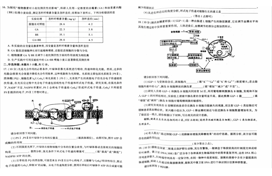 生物河南驻马店、信阳、南阳、三门峡、漯河五市2026年高三3月第一次质量检测联考(驻马店南阳一模信阳三模漯河三门峡二模)(3.19-3.20).pdf_第3页