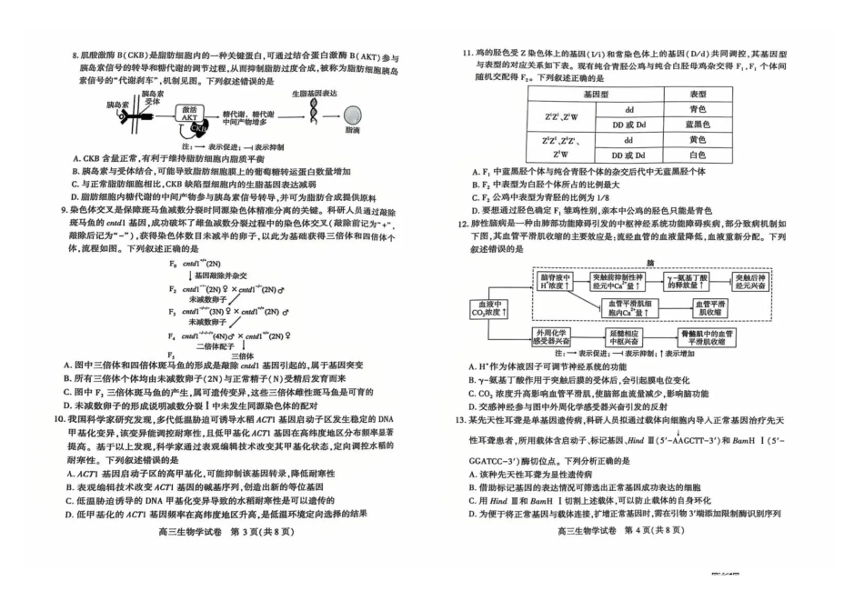 生物湖北恩施州2026届高三第二次质量监测考试(恩施州二模)（3.18-3.19）.pdf_第2页