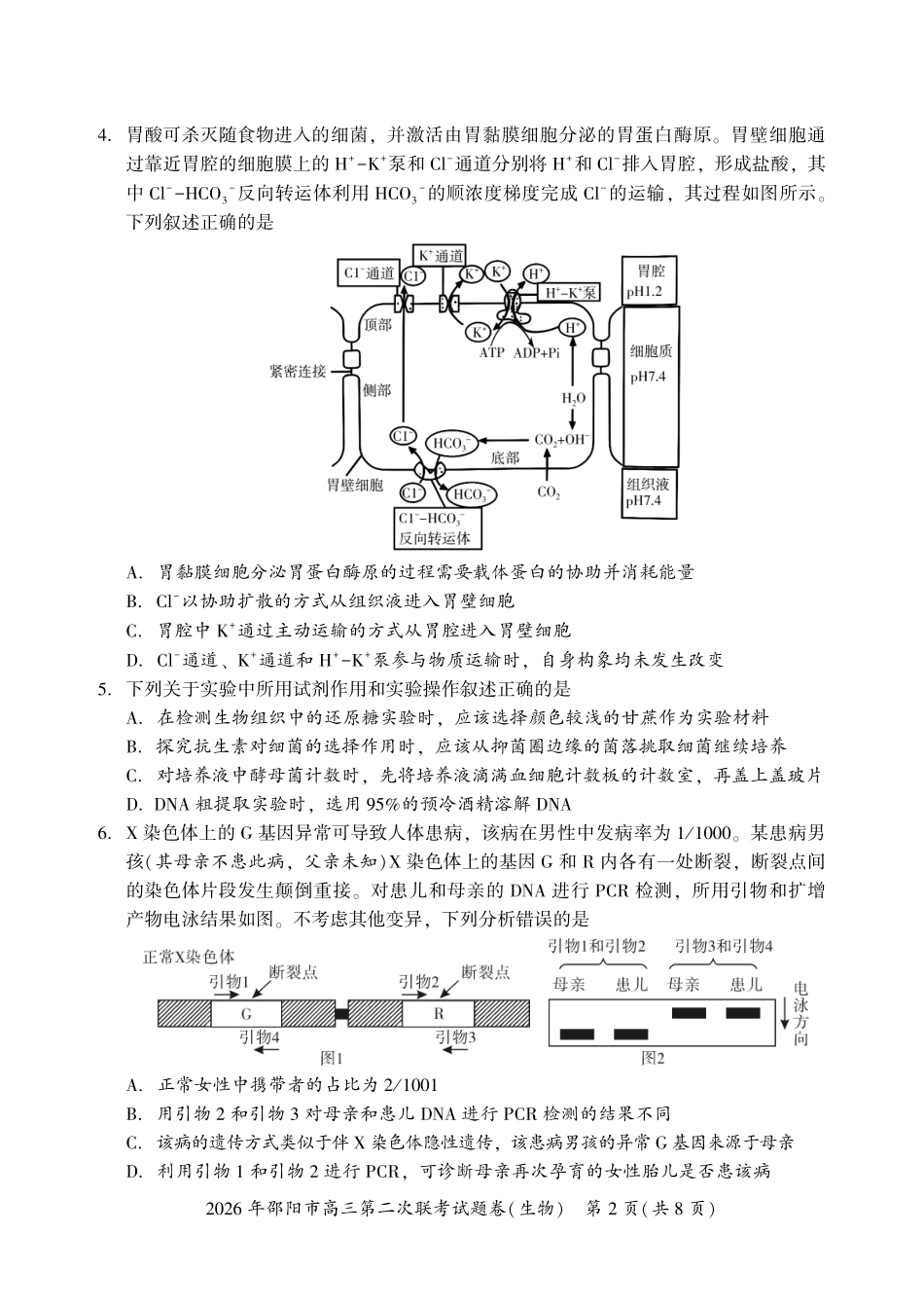 生物湖南2026年邵阳市高三第二次联考(邵阳二模)（3.19-3.20）.pdf_第2页