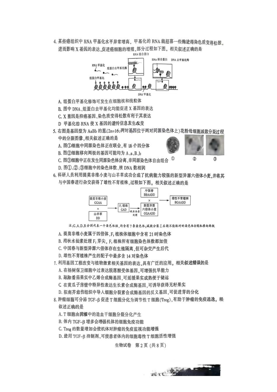 生物江苏苏北南通、徐州、扬州、连云港、淮安、泰州、宿迁七市2026届高三第二次调研考试(南通二模暨苏北七市二模)(3.25-3.27).pdf_第2页