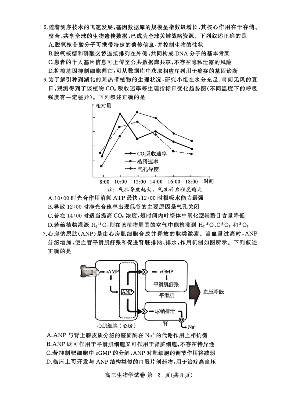 生物试卷-2026年3月黄冈市高三年级3月模拟考试.pdf_第2页