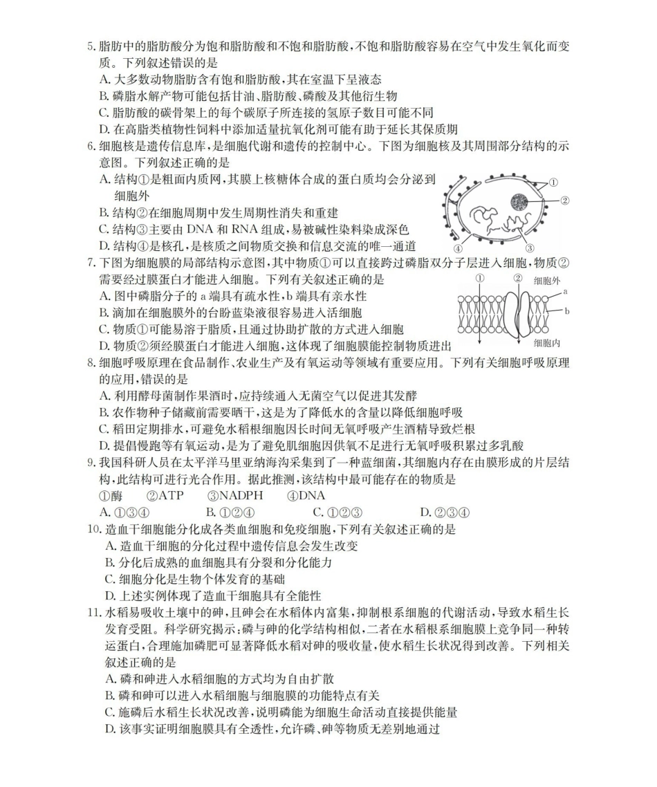 生物学(26-288A)河北金太阳(定兴第三中学)2025-2026学年高一下学期3月开学联考(26-288A)（3月中旬）.pdf_第2页