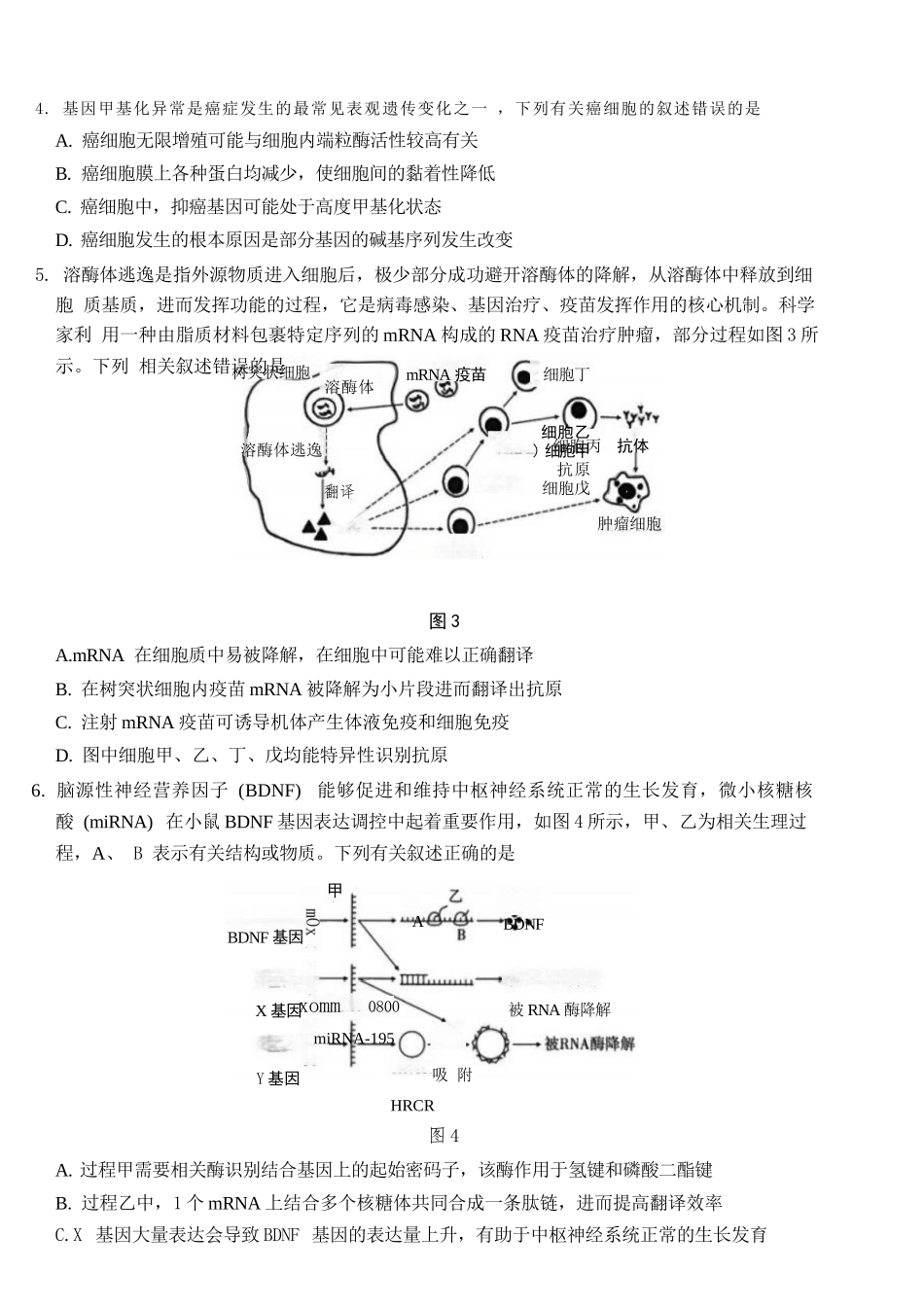 生物重庆市巴蜀中学校2026届高三下学期3月高考适应性月考（七）(3.20-3.21).docx_第3页