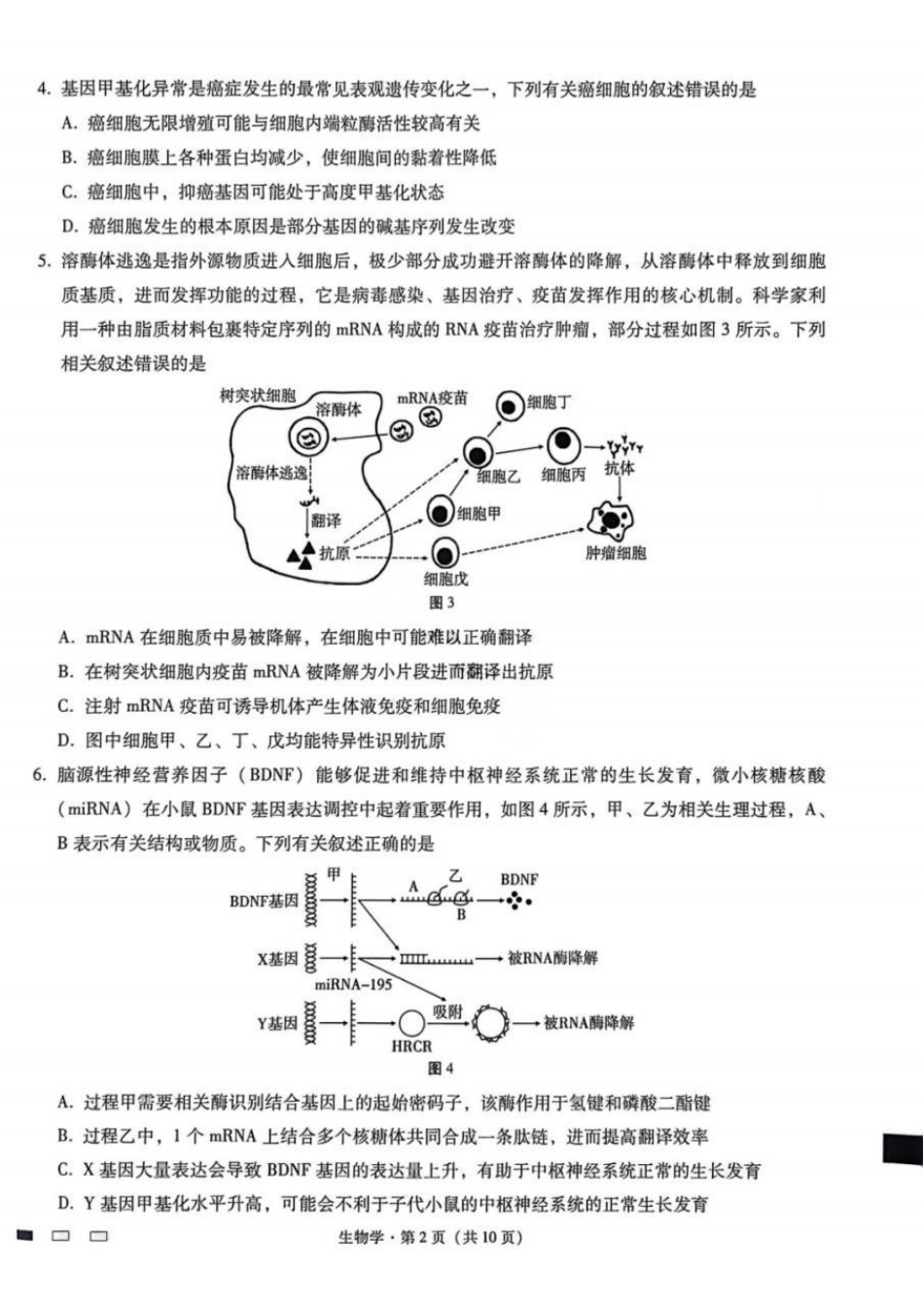 生物重庆市巴蜀中学校2026届高三下学期3月高考适应性月考（七）(3.20-3.21).pdf_第2页