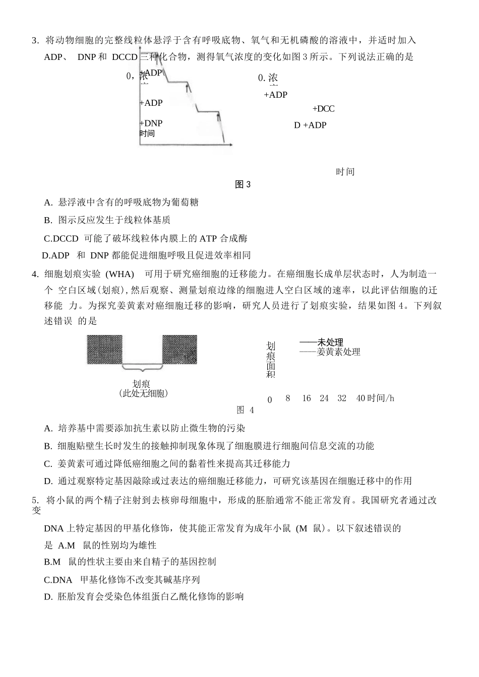 生物重庆市重庆第八中学2026届高考适应性月考卷（六）(3.19-3.21).docx_第2页