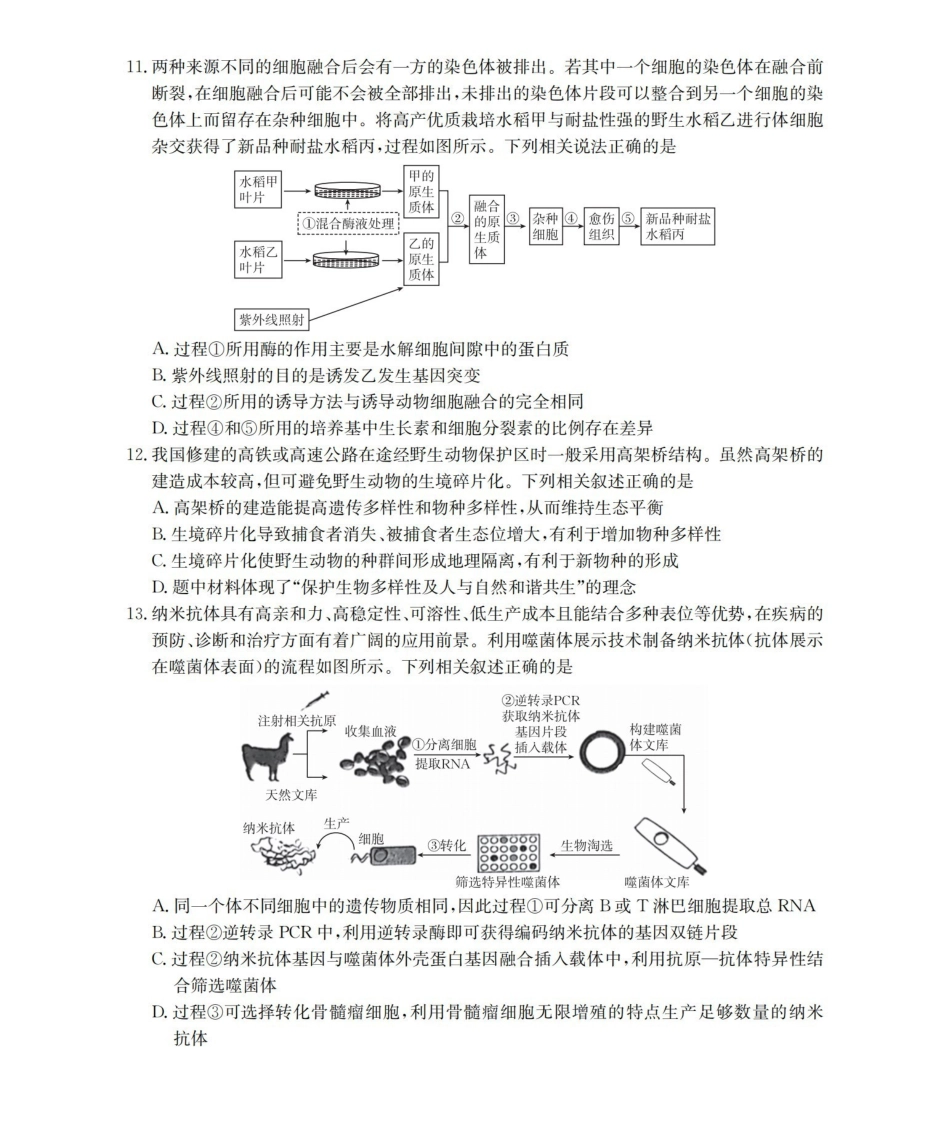 四川2026届高三下学期3月联考（26-157C）生物.pdf_第3页