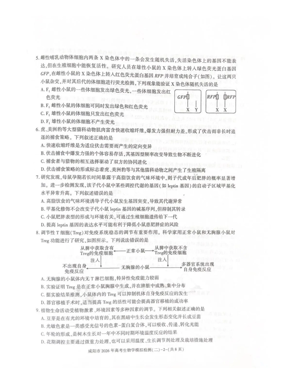 咸阳市2026年高考模拟检测（二）生物.pdf_第2页