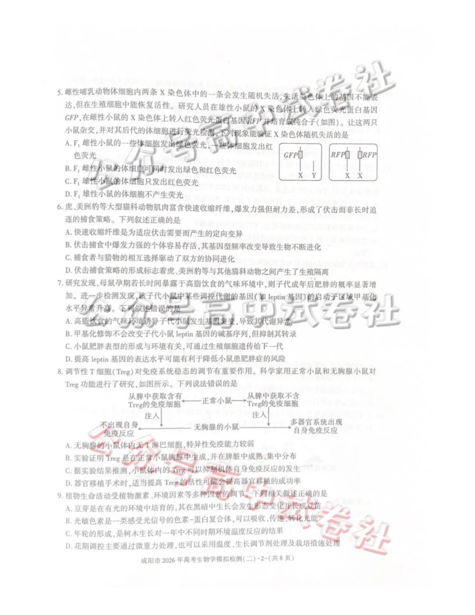 咸阳市2026年高考模拟检测(二)生物_.pdf_第2页