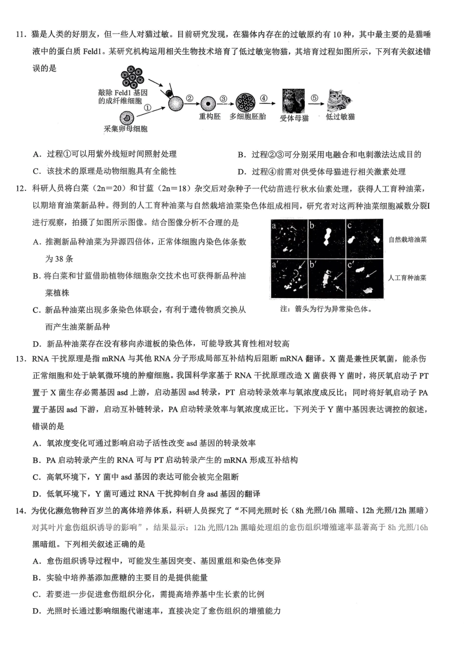 重庆市2026年普通高等学校招生全国统一考试康德调研（三）生物+答案.pdf_第3页
