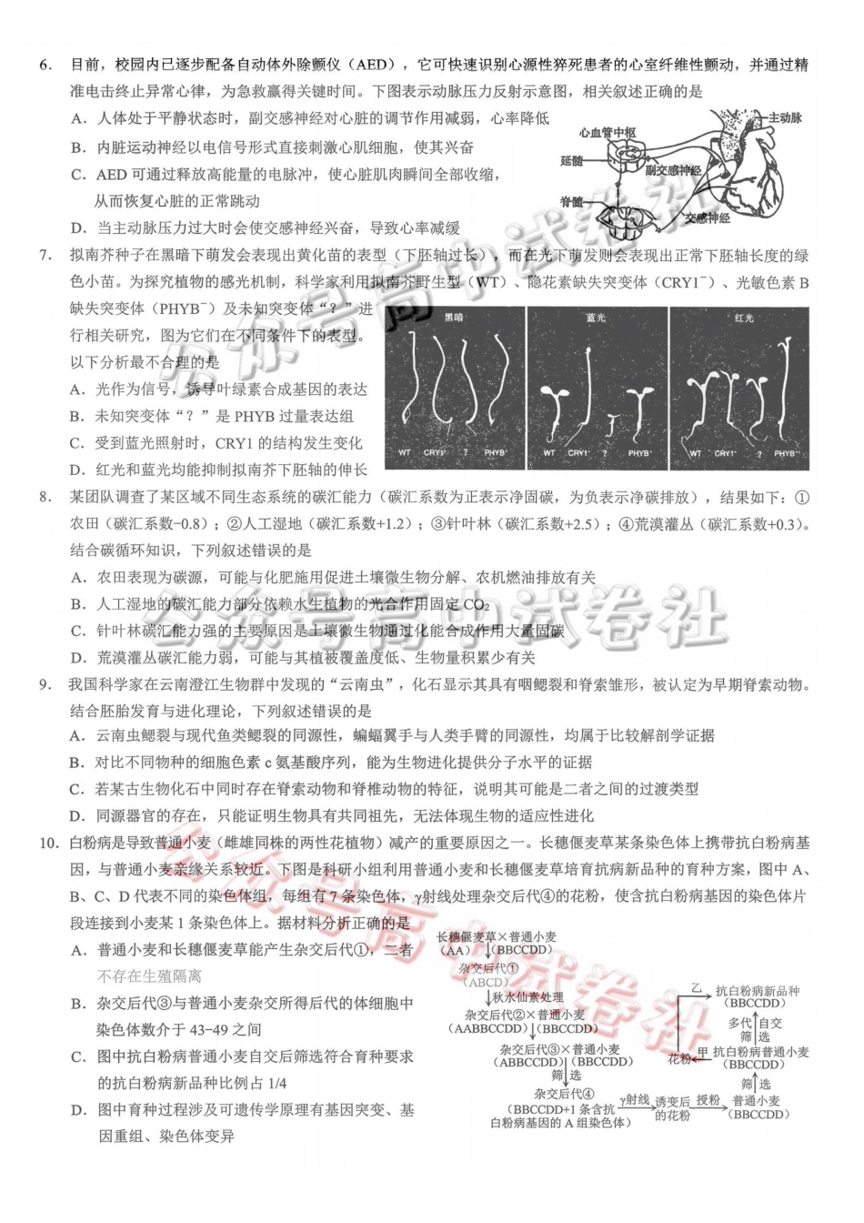 重庆市2026年普通高等学校招生全国统一考试康德调研（三）生物+答案_.pdf_第2页