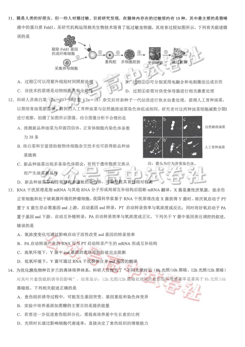 重庆市2026年普通高等学校招生全国统一考试康德调研（三）生物+答案_.pdf_第3页