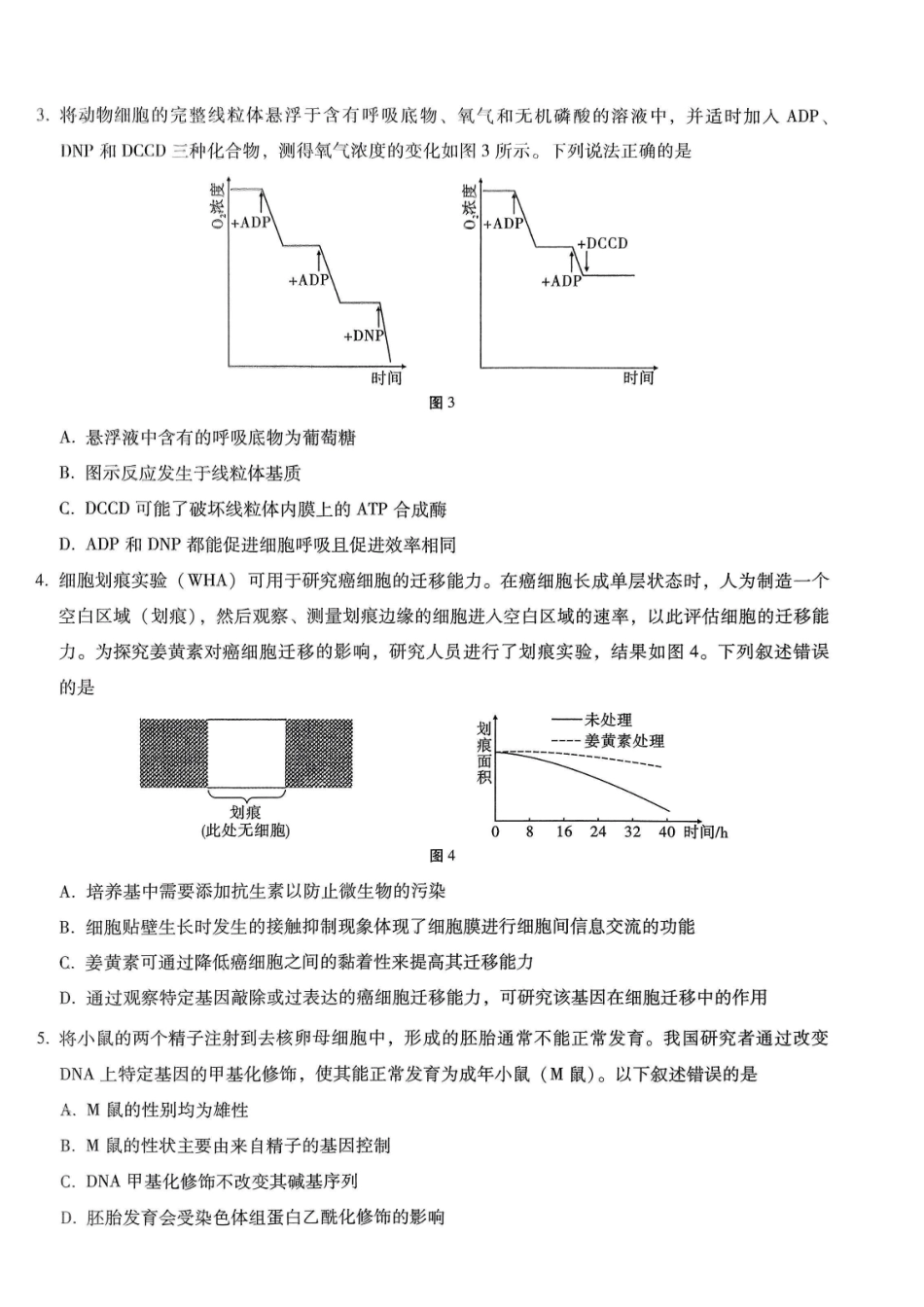 重庆市第八中学2026届高考适应性月考卷（六）生物.pdf_第2页