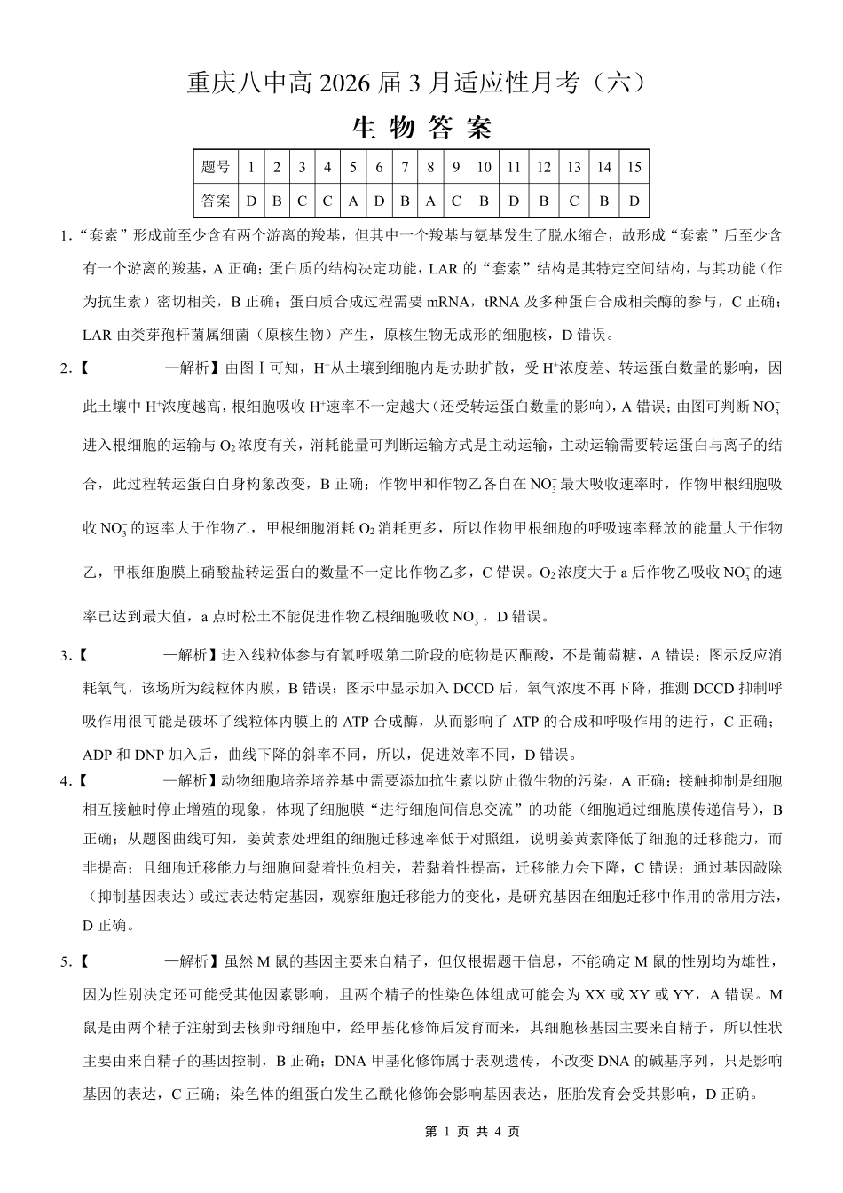 重庆市第八中学2026届高考适应性月考卷（六）生物答案.pdf_第1页