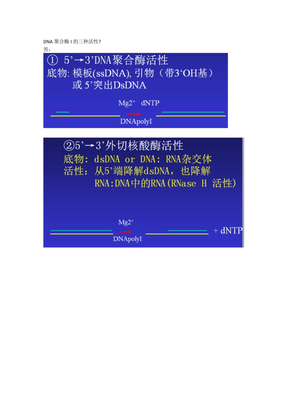 基因工程主要知识点整理.pdf_第3页