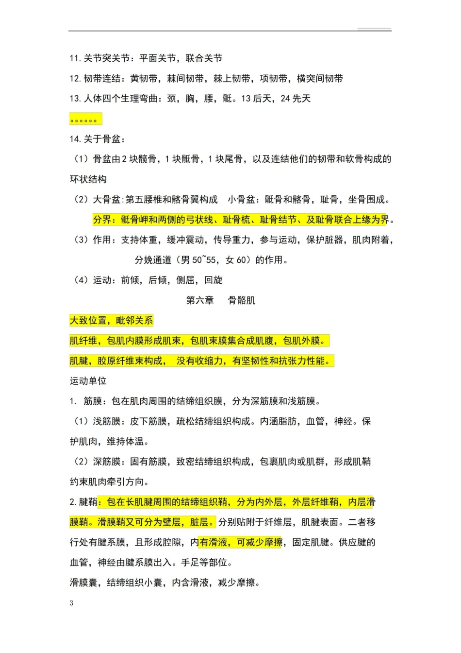 运动解剖学大一下学期期末知识复习汇总.pdf_第3页