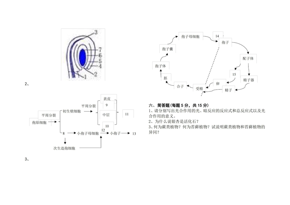 植物生物学试卷(含答案).pdf_第3页