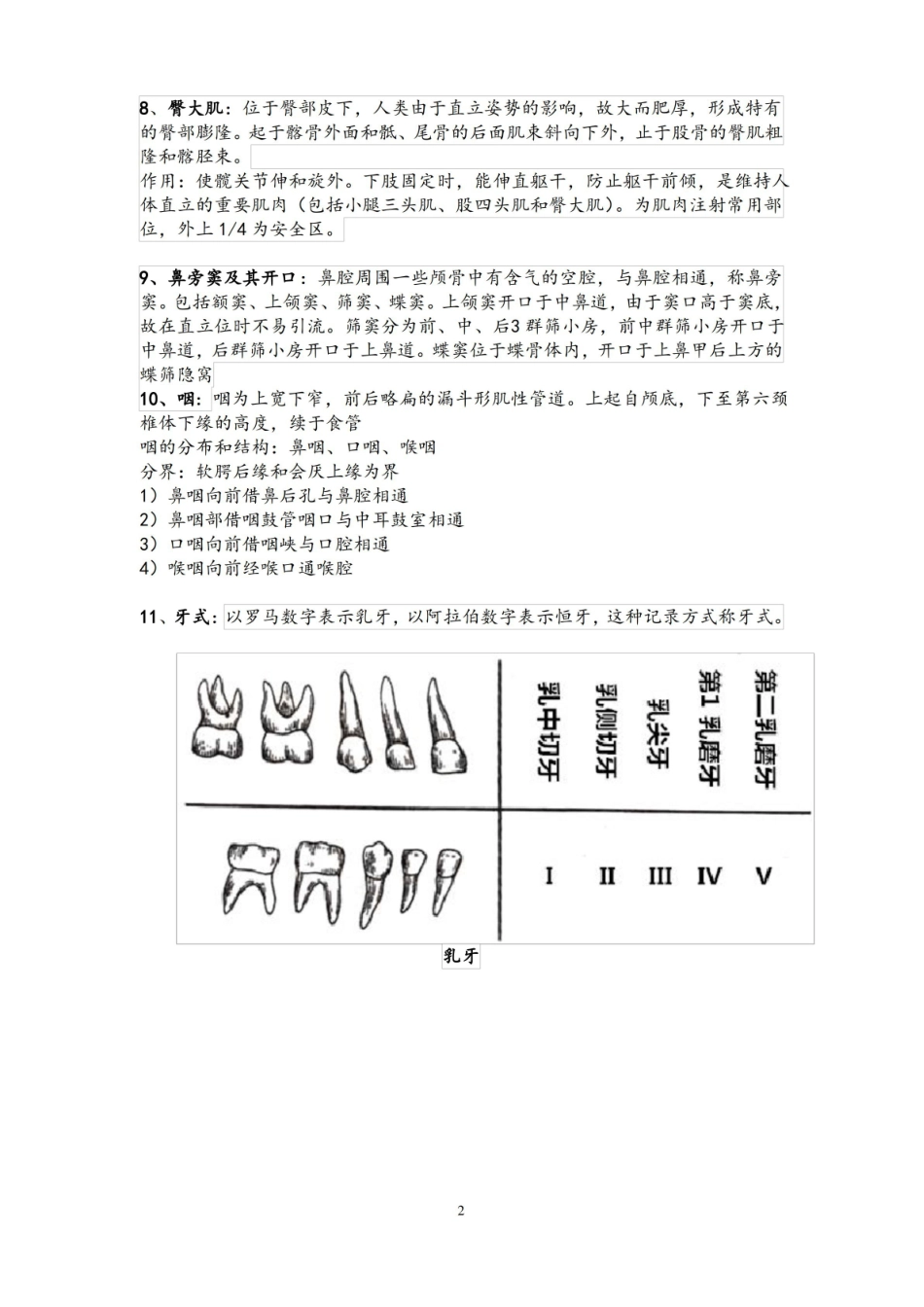 解剖学考试复习知识要点.pdf_第2页