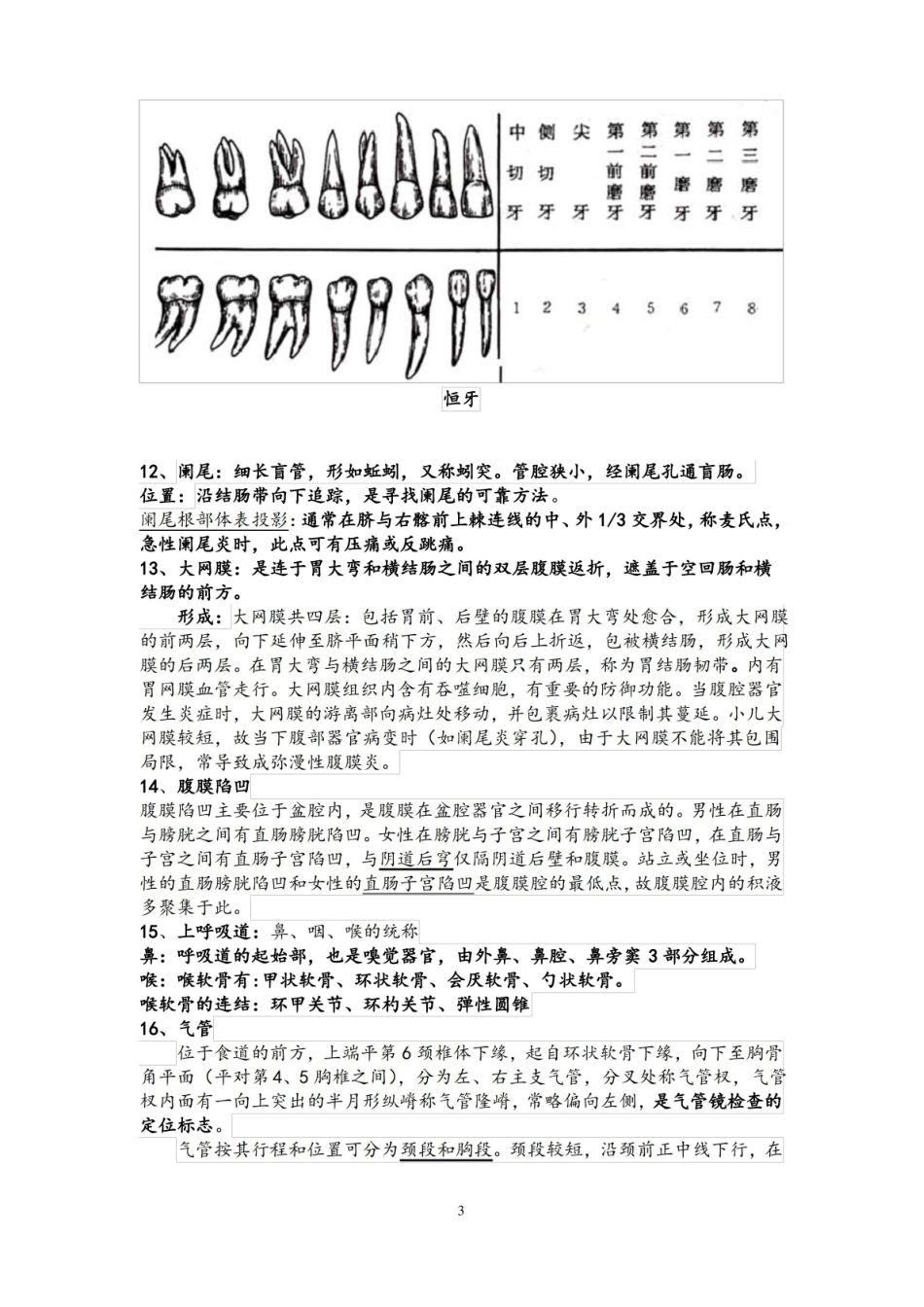 解剖学考试复习知识要点.pdf_第3页