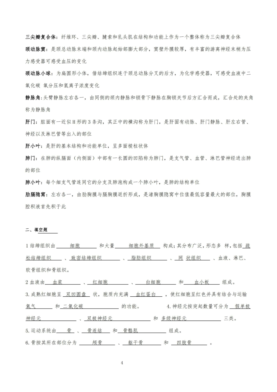 人体形态与结构重点知识汇总.pdf_第3页