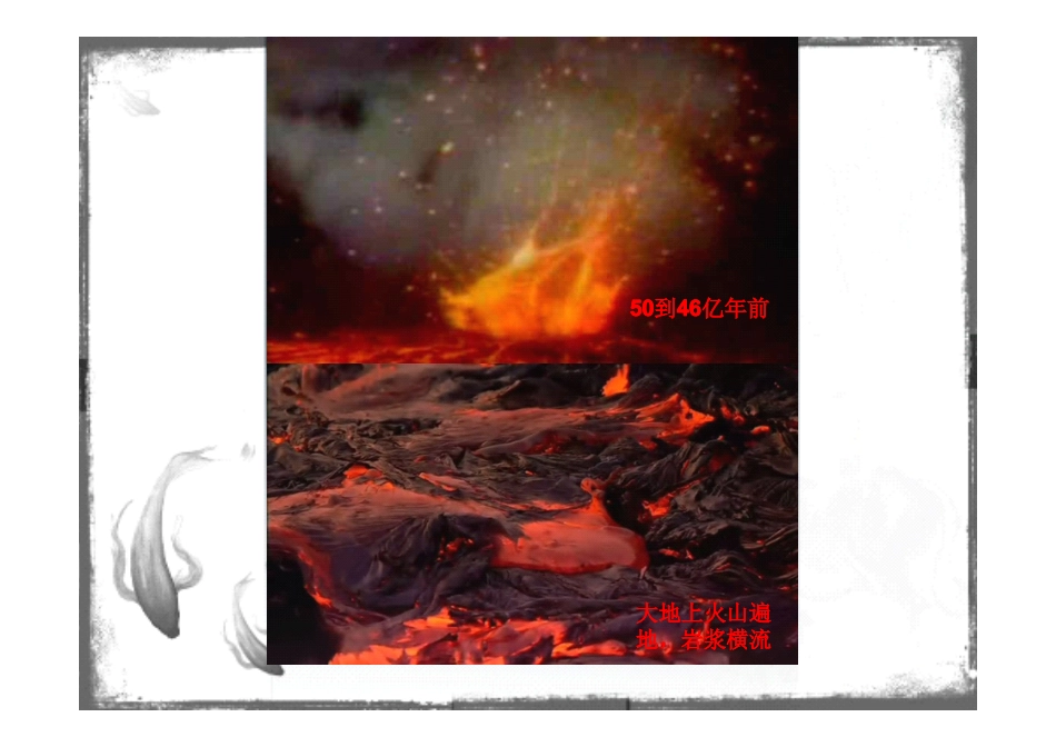 生物进化史 .pdf_第3页