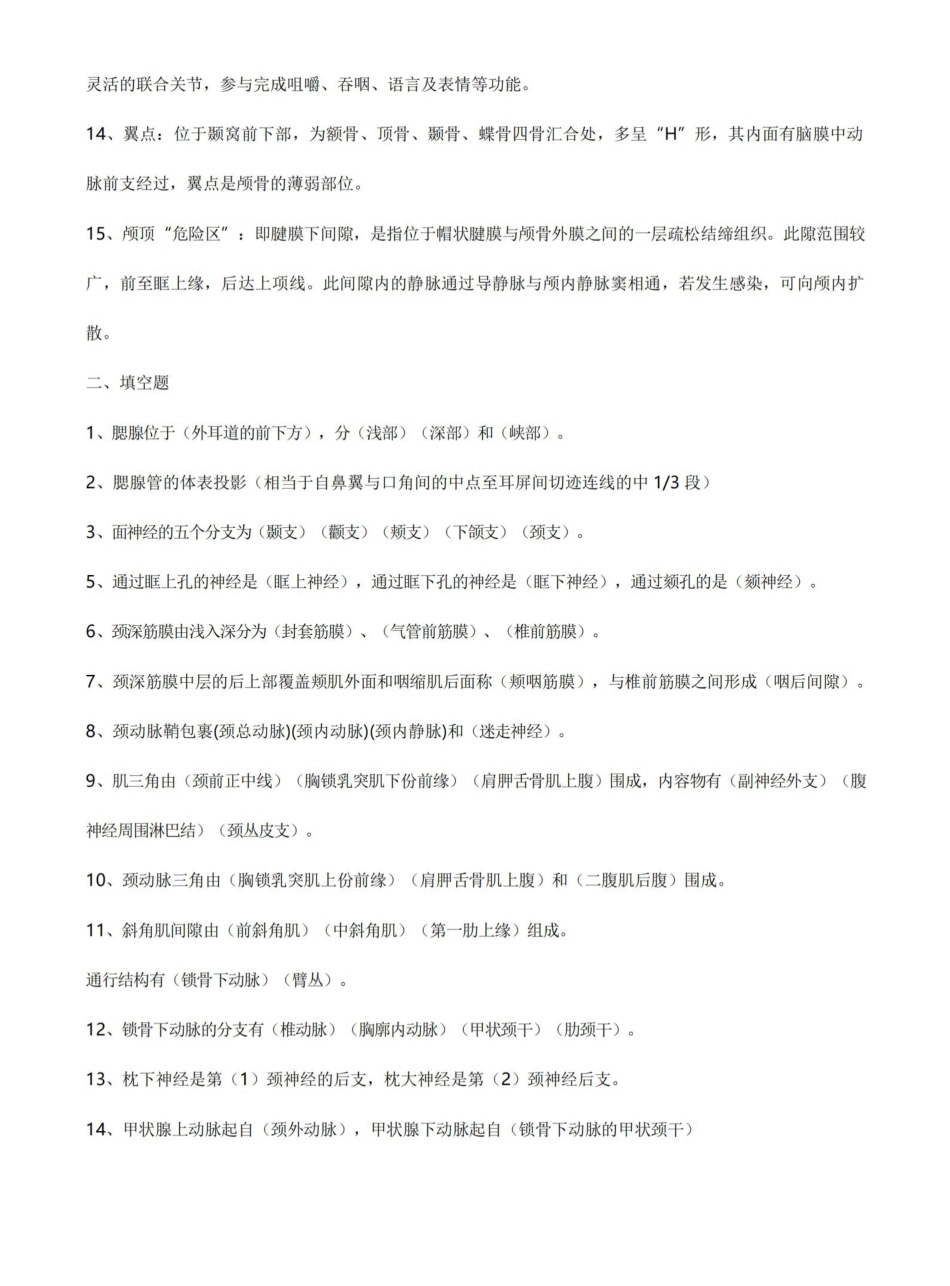 局部解剖学考试重点总结超级完整.pdf_第2页
