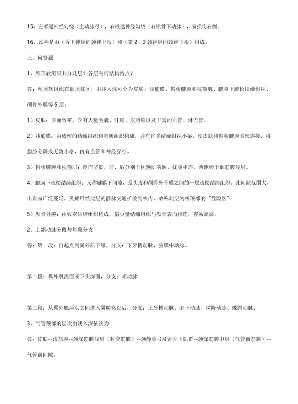 局部解剖学考试重点总结超级完整.pdf_第3页