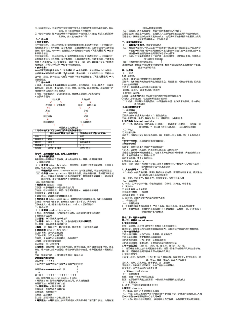 系统解剖学神经部分归纳总结.pdf_第3页