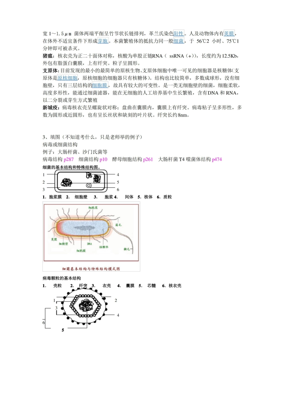 兽医微生物学复习题(改良版).pdf_第2页